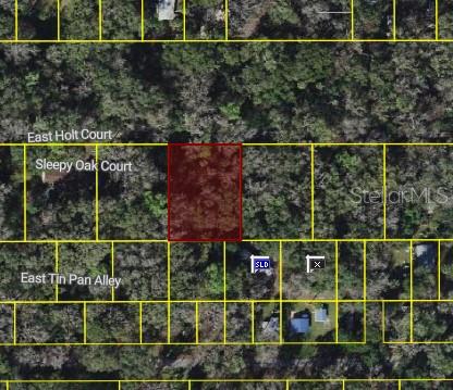 Build your dream home or invest in this 0.50-acre vacant residential lot located in Inverness. Zoned for single-family or manufactured housing,
this property offers flexibility for a variety of residential uses. No HOA—enjoy the freedom to build without restrictive covenants or fees. The
oversized lot provides ample space for a home, outdoor living, and additional storage. Conveniently located near the Withlacoochee River, as well as Potts Preserve and the Turner Camp boat ramp, you’ll have easy access to boating, fishing, and outdoor recreation. The property is not
landlocked and features its own limestone road access directly off E Holt Ct, providing convenient entry and added usability. Just a short drive to shopping, dining, medical facilities, and local amenities, while still maintaining a quiet, residential setting. Ideal opportunity for builders,
investors, or future homeowners looking for land in a growing area of Citrus County.
