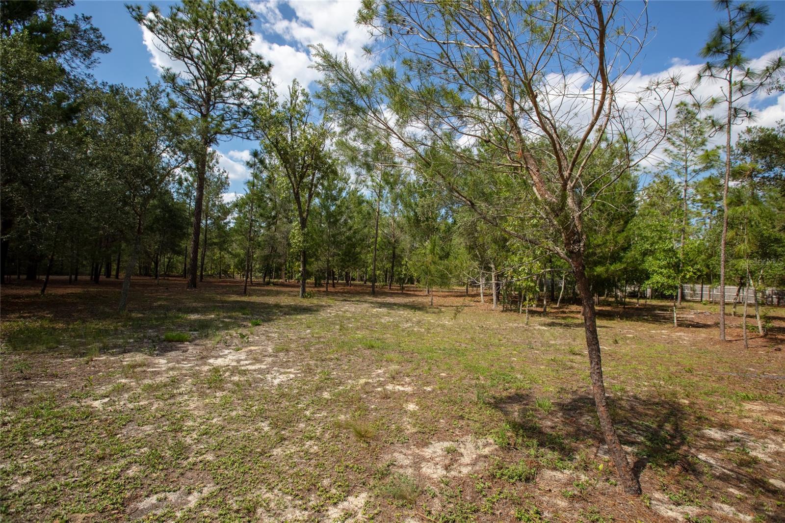 BIG TREE LAKES SEC A - Residential