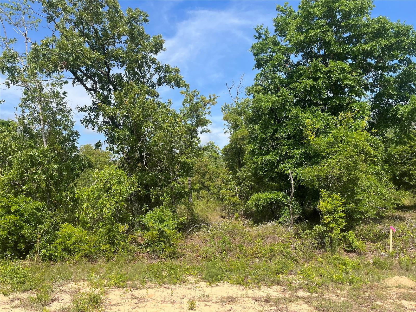 COMPASS LAKE HILLS - Land