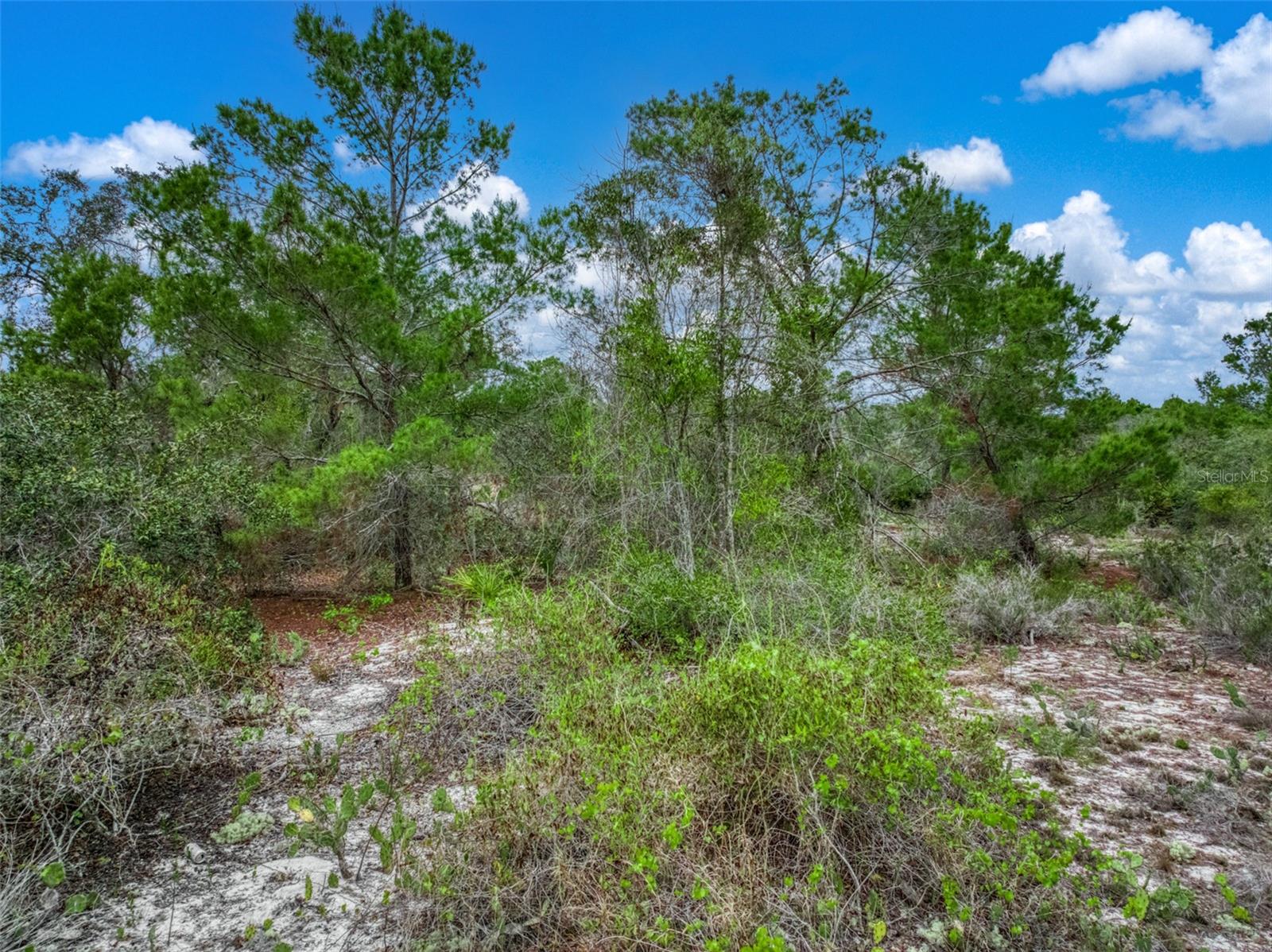 HIGHLANDS PARK ESTATE - Land