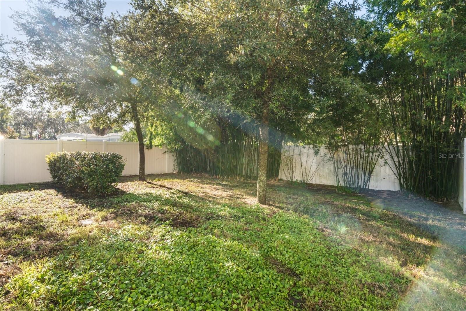 GREENVILLE COMMONS - Residential