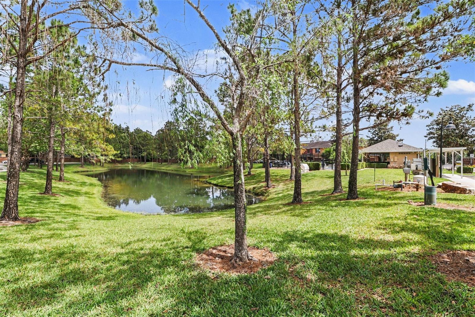 HANOVER POINTE REP - REP - Residential