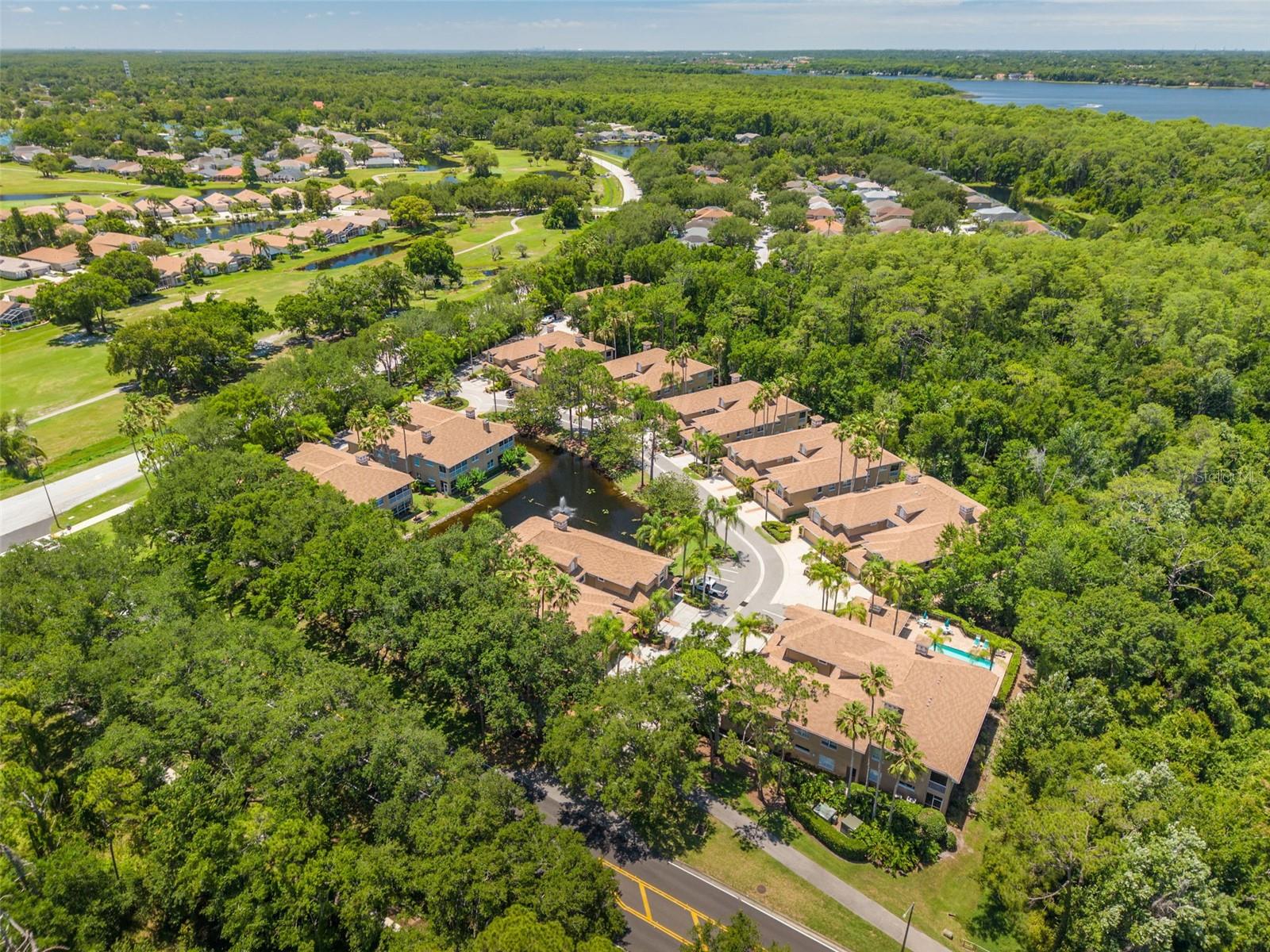 PRESERVE AT LANSBROOK CONDO THE - Residential