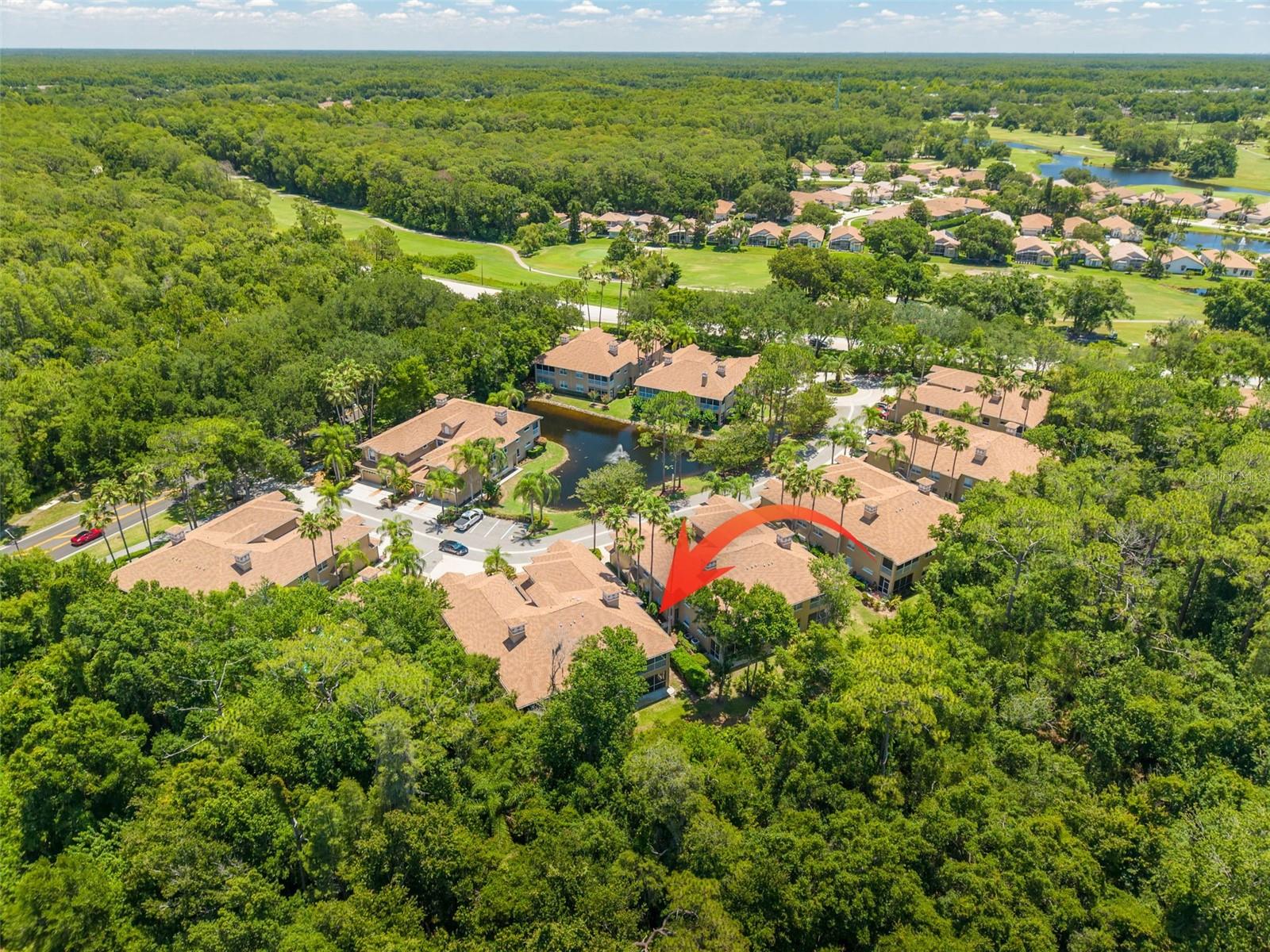 PRESERVE AT LANSBROOK CONDO THE - Residential