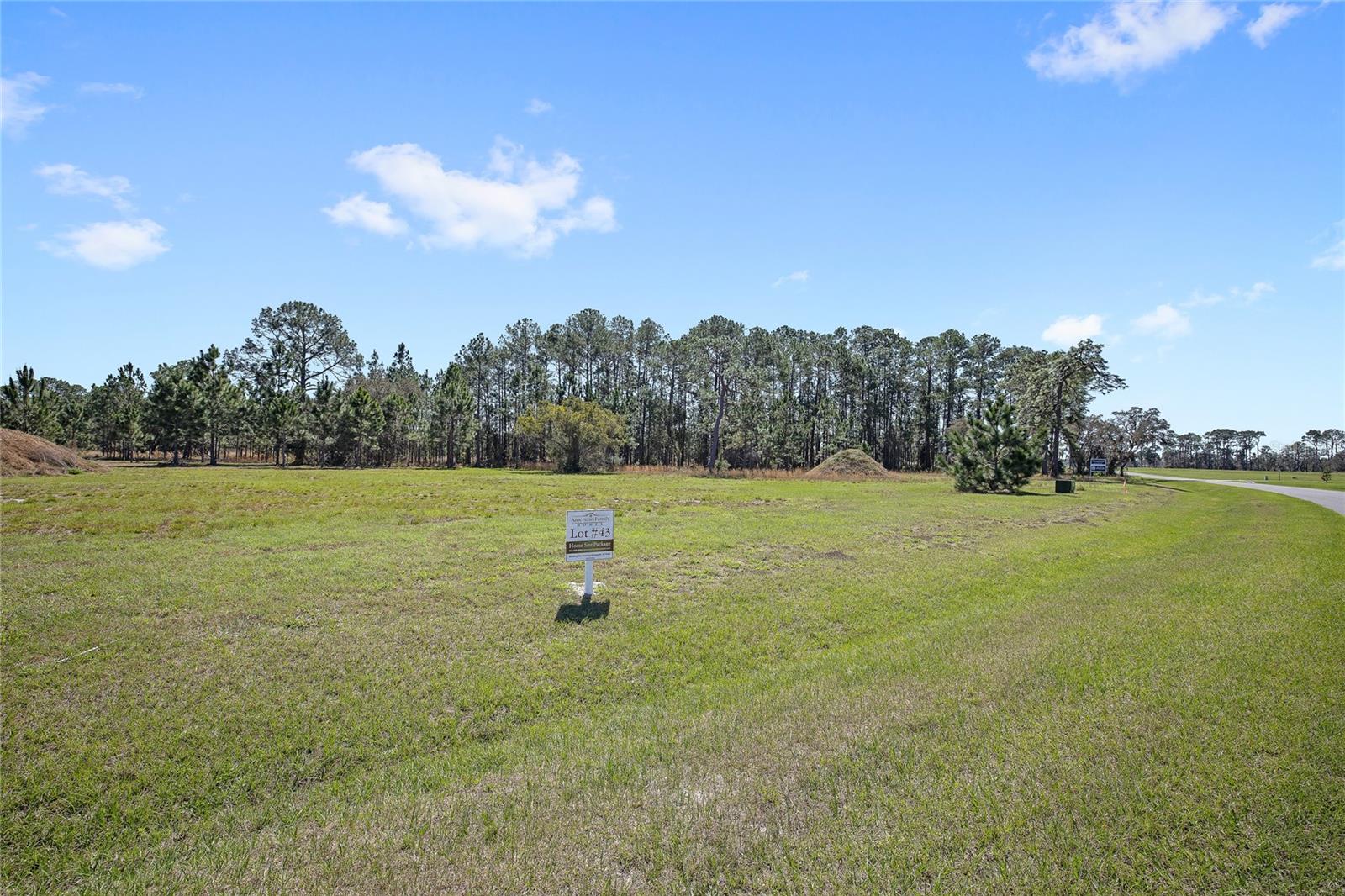 SHORELINE RANCH - Residential