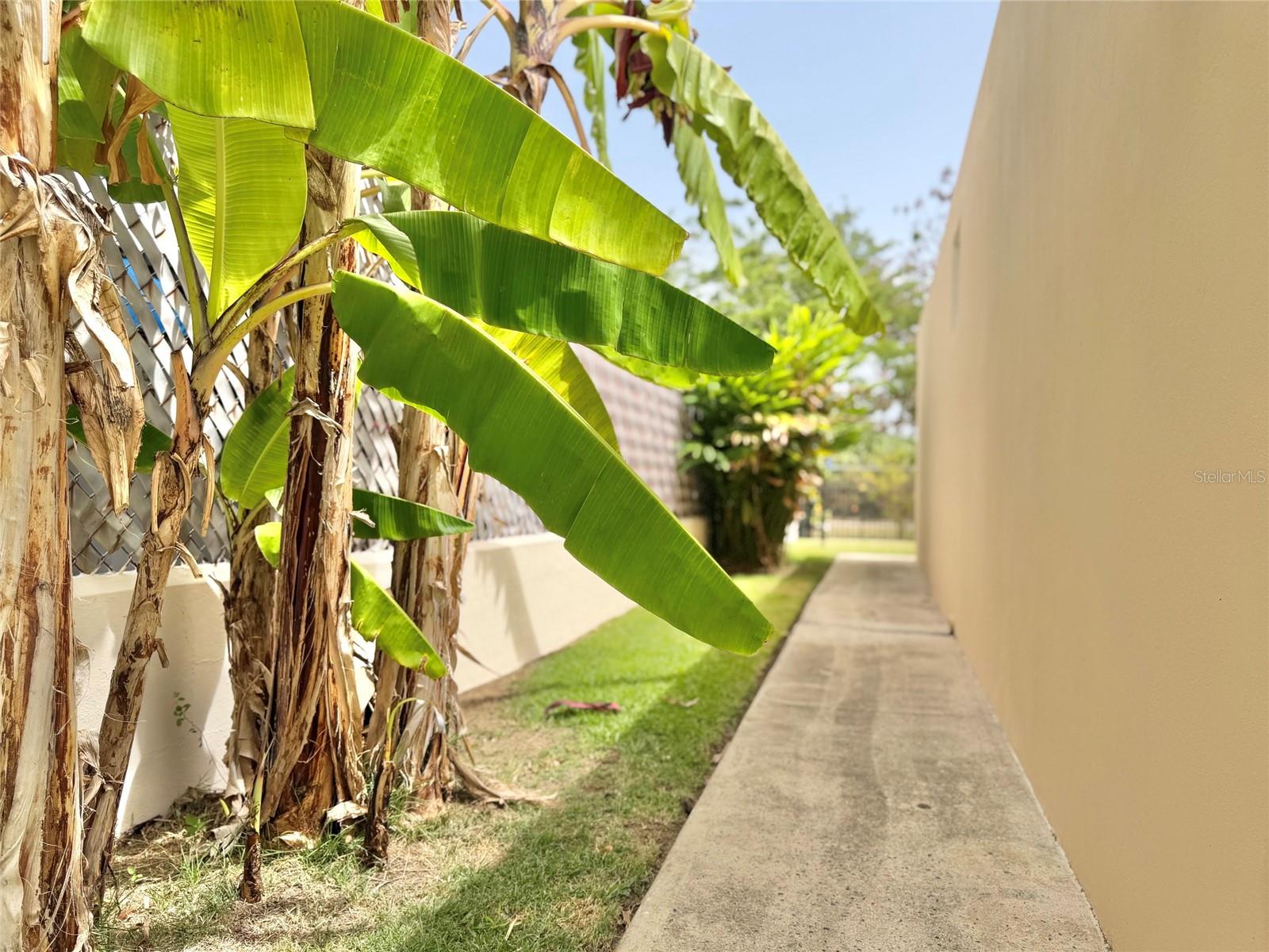FAIR VIEW - Residential