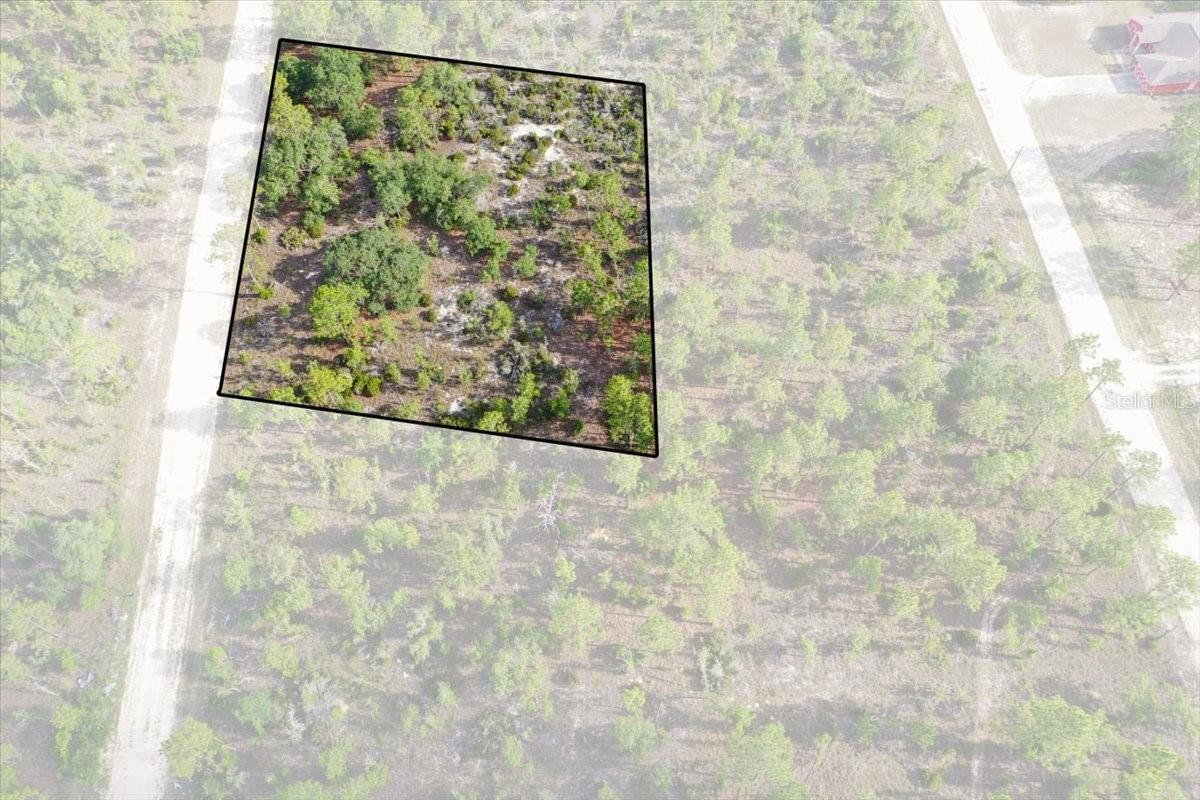 Rare opportunity to own up to 10 acres in Williston Highlands! This unique offering includes ten adjoining 1-acre lots available for purchase together or individually, giving you the flexibility to build your dream home, create a private retreat, or invest in Florida land. Enjoy plenty of room for your home, workshop, RV, boats, horses, and all your outdoor toys in a peaceful country setting just minutes from Williston's amenities. Located in the heart of Florida's Horse Country, the property is also a short drive to the World Equestrian Center in Ocala, as well as popular attractions like Devil's Den and Blue Grotto springs. Whether you're looking to build now or invest for the future, this property offers privacy, natural beauty, and the freedom to create the lifestyle you've been looking for.