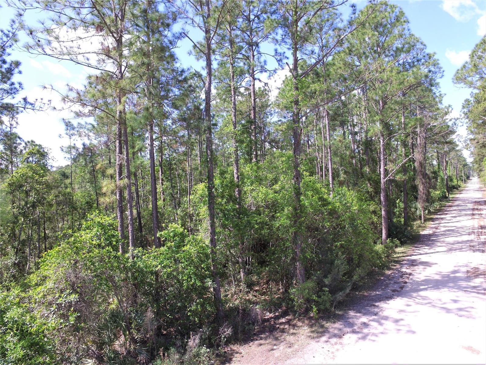 Quail Roost Ranches Unrec 202 - Land