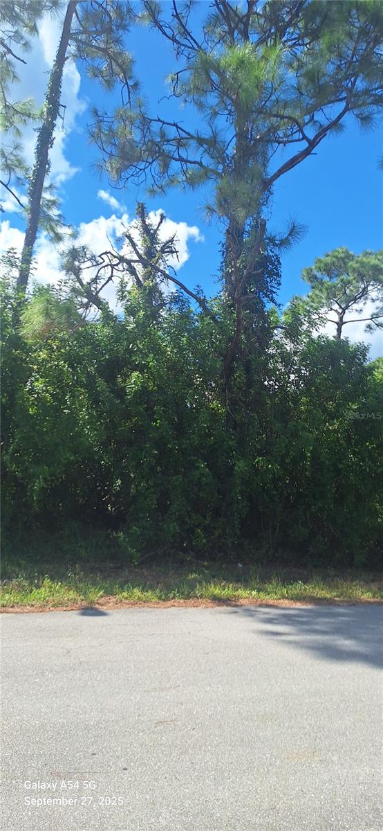 LEHIGH ACRES - Land