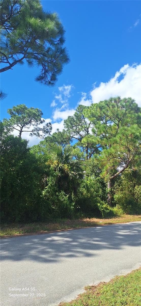OWNER FINANCING AVAILABLE! Dreaming of owning your own piece of Florida? This buildable residential lot makes it possible with a low down payment and affordable monthly payments—no traditional bank financing required. Whether you're planning to build your future home or invest in Florida real estate, this property offers an excellent opportunity. Conveniently located near SR-82 with easy access to Fort Myers, shopping, restaurants, schools, and everyday amenities. No HOA and not located in a flood zone. Buyer to verify zoning, utilities, and building requirements.
