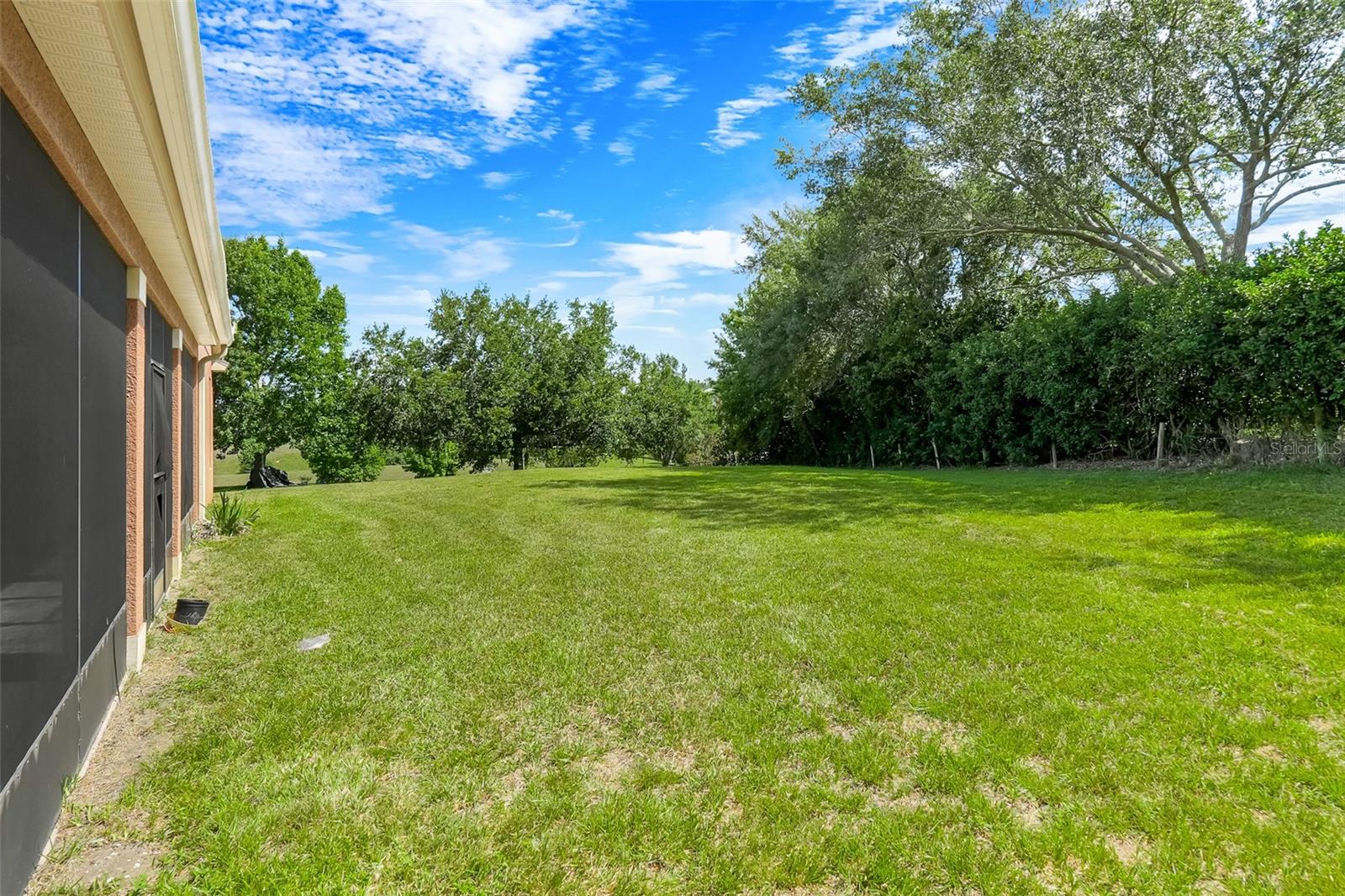 OVERLOOK AT LAKE LOUISA PH 02 - Residential