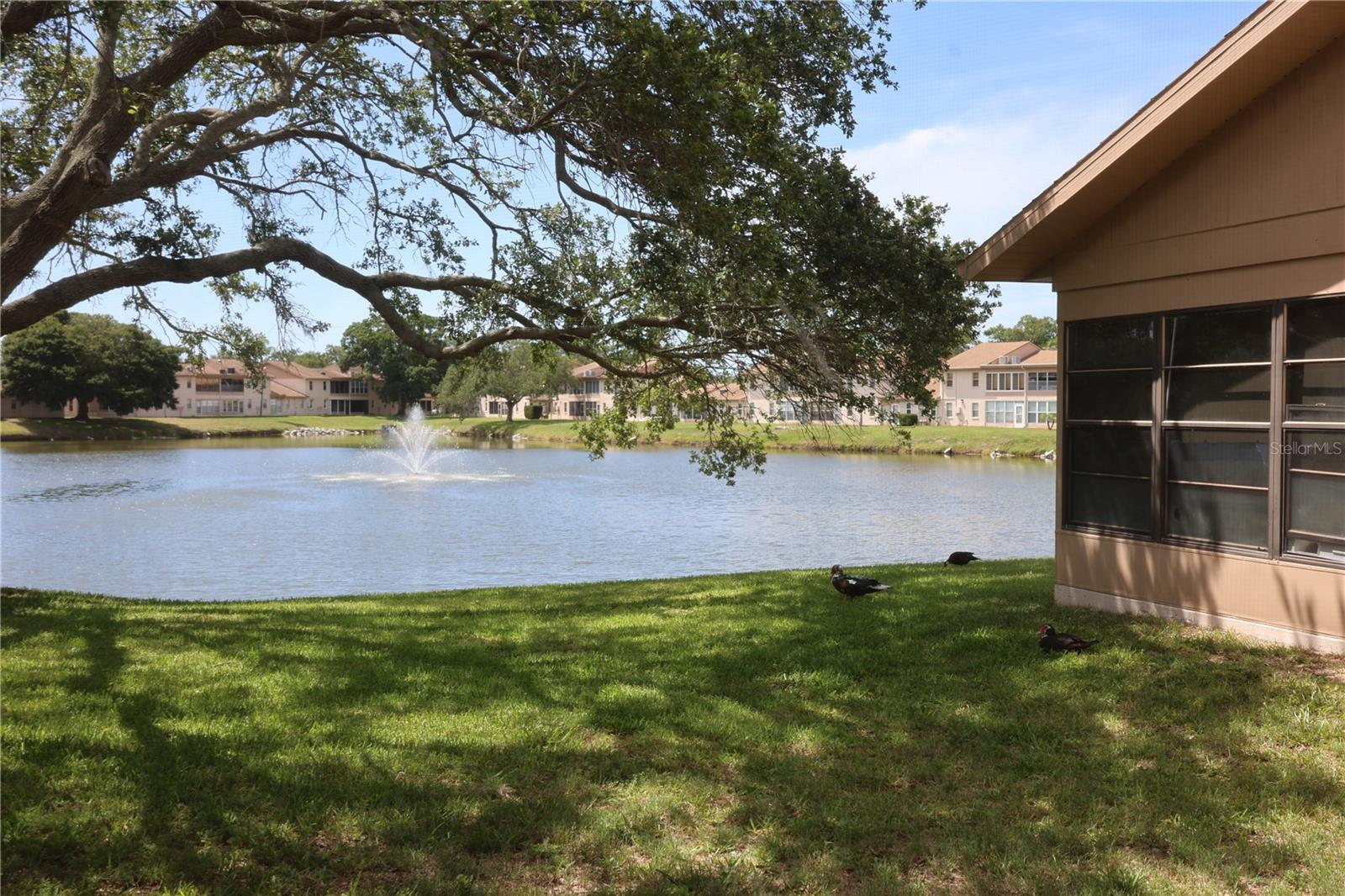 HOLIDAY LAKE VILLAS CONDO - Residential