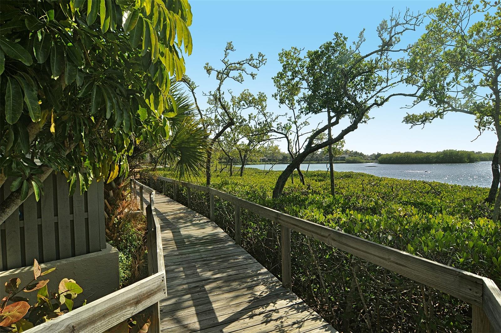 PELICAN COVE XVI - Residential