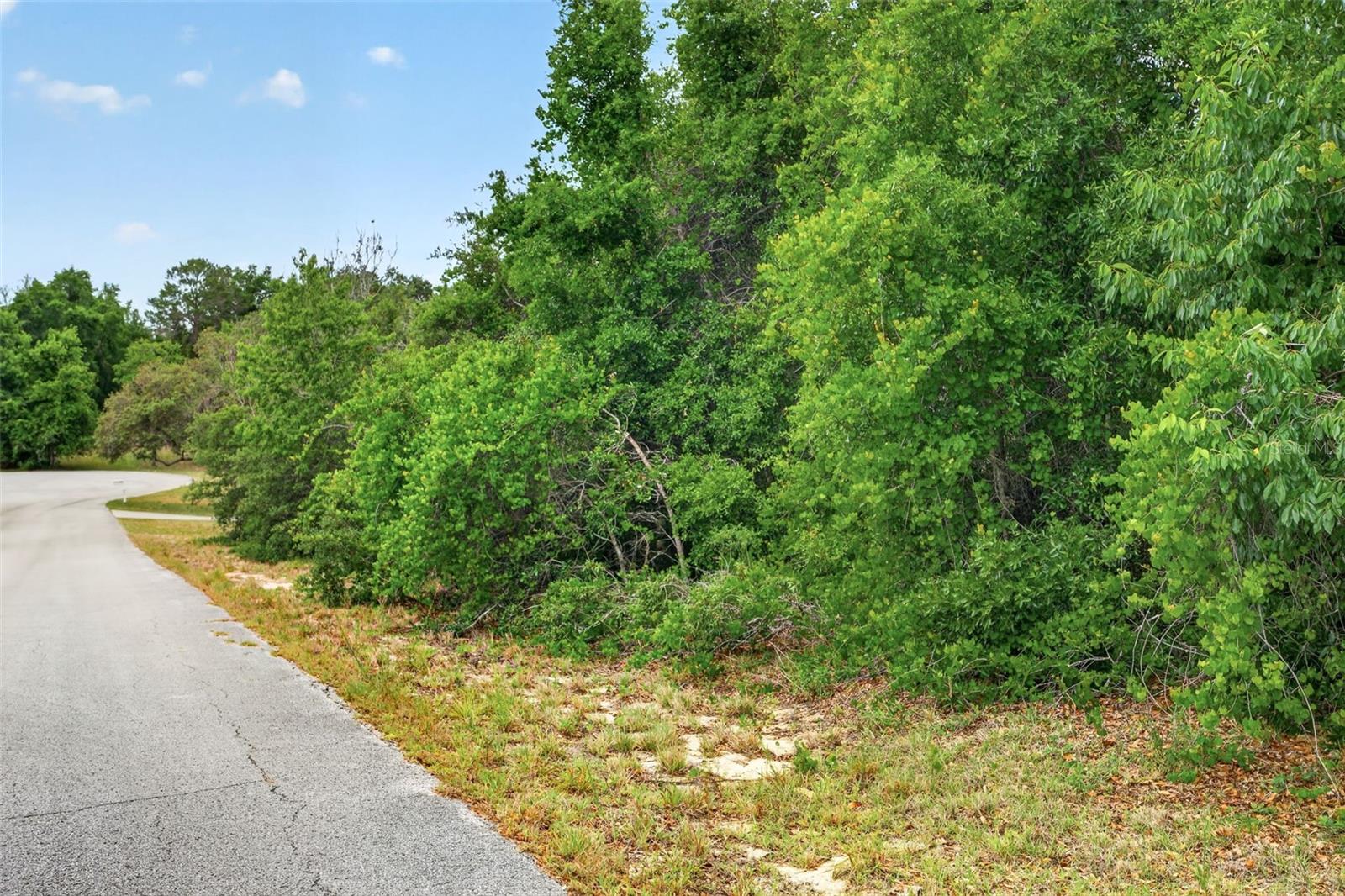 HILLS COUNTRYSIDE ESTATES - Land