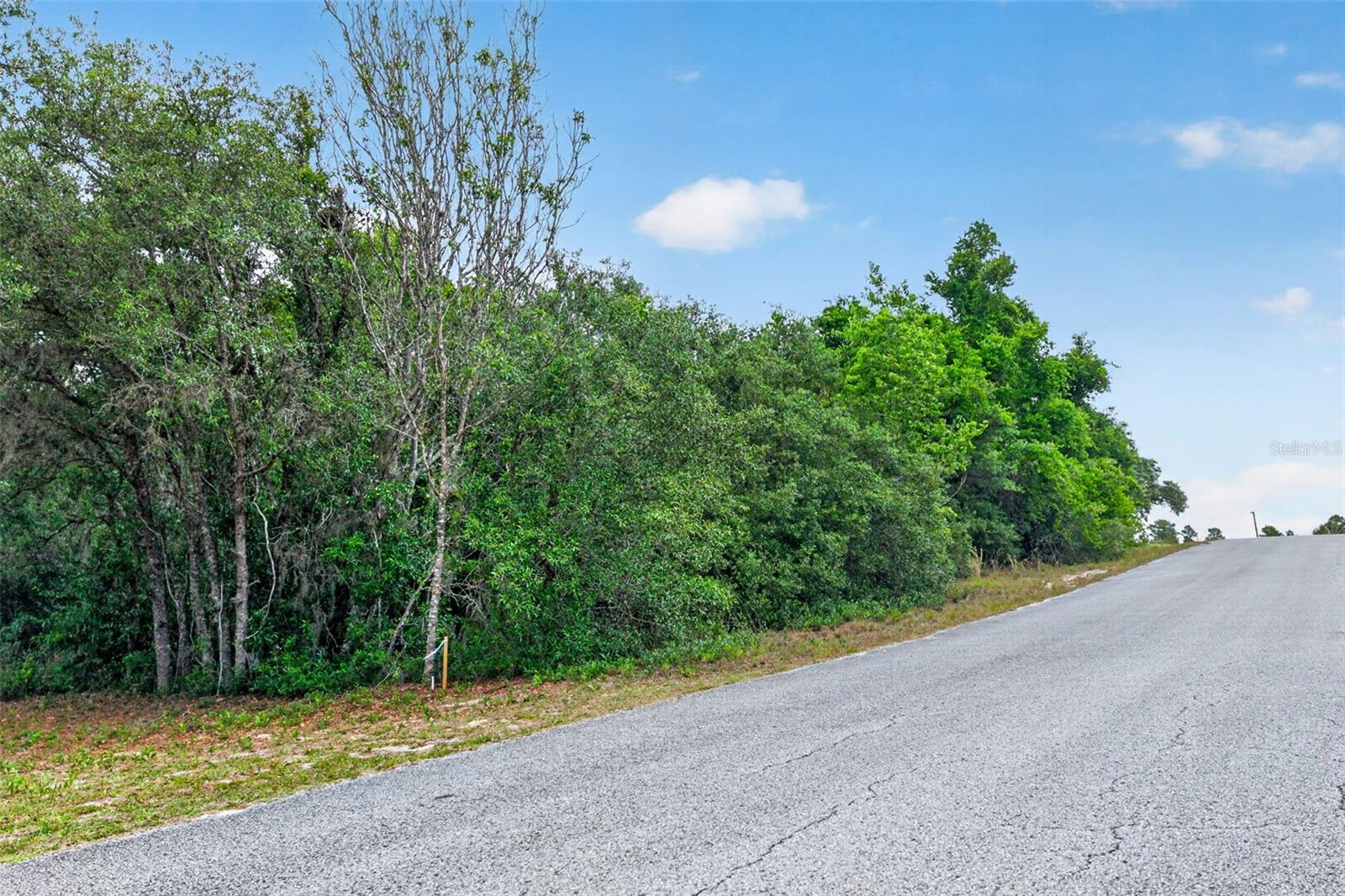 HILLS COUNTRYSIDE ESTATES - Land