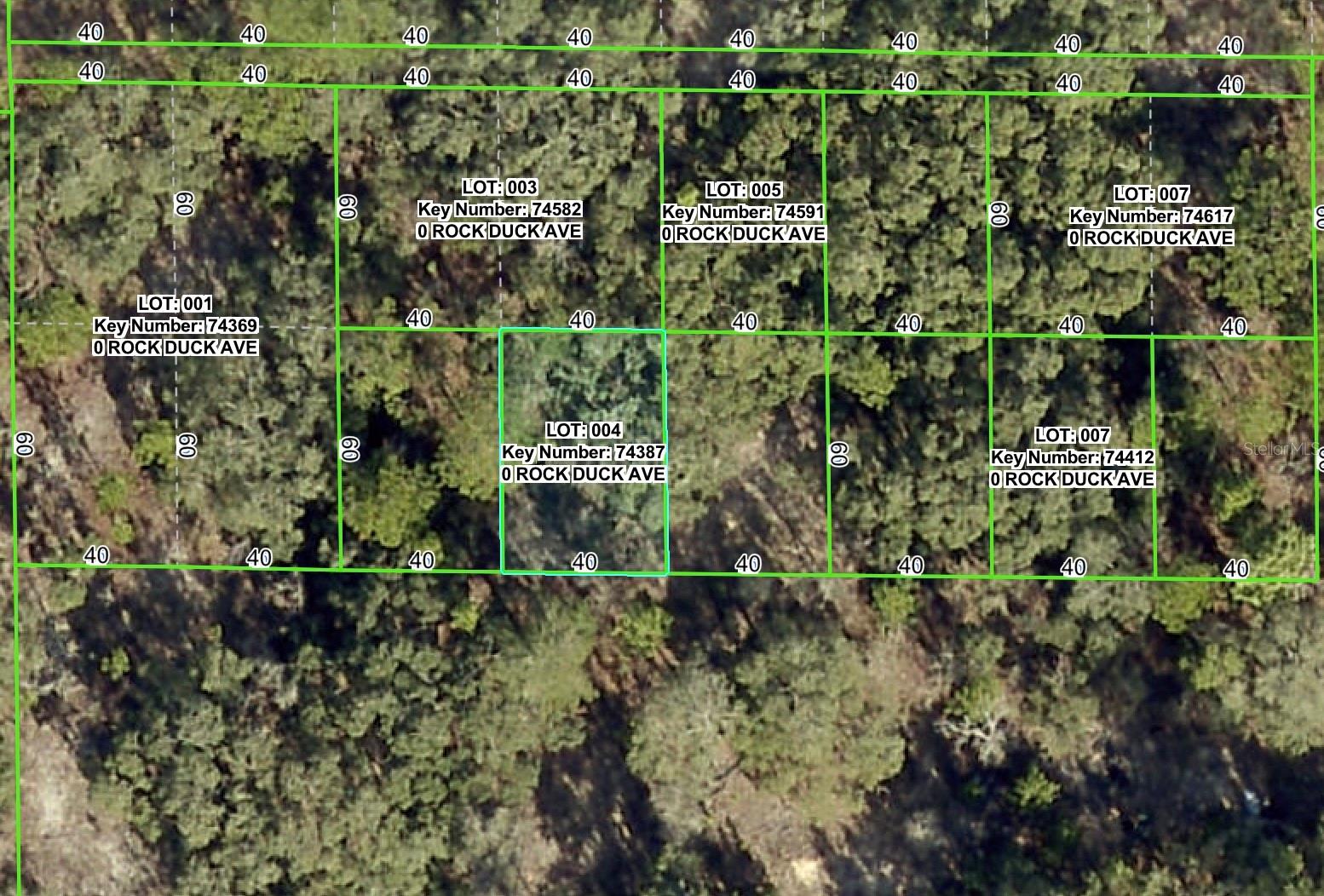 This .06 acre parcel that is the easement for the power lines. Zoned AR2. You cannot build on it...but you can play on it and use it for your enjoyment. Best buyer is a home-owner whose lot adjoins it or hold it for possible future investment.
The power company must have access to it at all times for maintenance. Cash only. The property is being transferred with a quit claim deed with no owner's title policy, and if the buyer wants any other deed or title policy, they have to pay for those closing costs