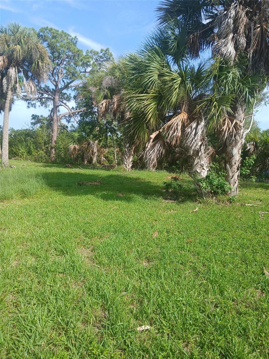 TARPON POINT - Land