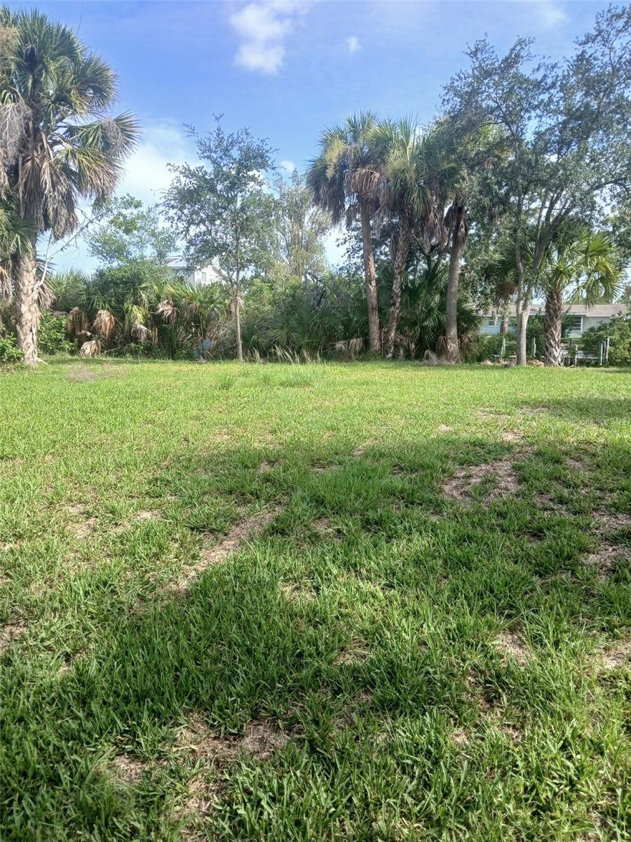 Discover Your Perfect Homesite Near the Myakka River in Venice!
An incredible opportunity awaits to design and build your dream home on this beautiful 0.23-acre residential lot with minimal clearing needed. Situated on an established street with homes already built, you can enjoy a welcoming community feel from day one without sacrificing your peace and privacy.
Nestled just north of the picturesque Myakka State Park, the area is surrounded by pristine Florida nature, offering an idyllic setting for your future home. The property features direct access to a canal leading straight to the Myakka River—perfect for nature lovers, boating enthusiasts, or anyone seeking a peaceful retreat. Despite its serene feel, the lot is conveniently located just east of the highly desirable Wellen Park community, ensuring quick access to premier shopping, dining, and everyday essentials. Looking ahead, the planned extension of River Road will further enhance the location's accessibility, providing a seamless connection to the newly built high school and the gorgeous sands of Manasota Key Beach. This property truly offers the ultimate combination of community, convenience, and coastal lifestyle potential.