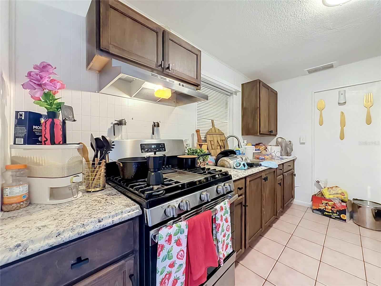SKY LAKE REP - Residential