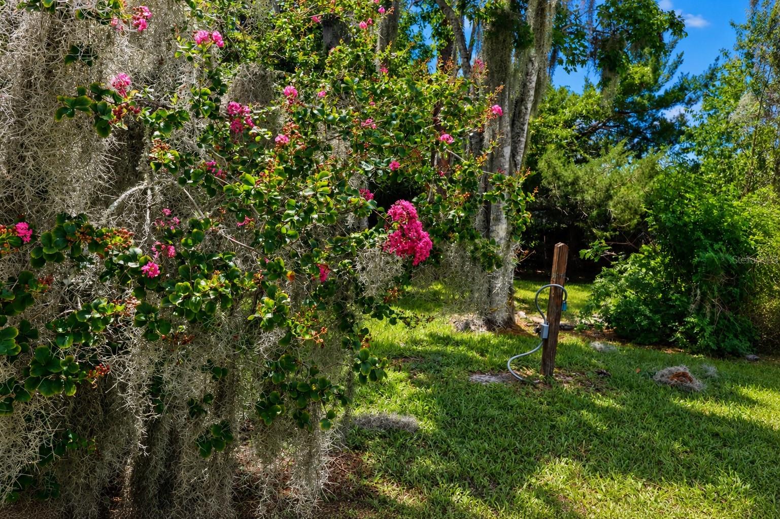 FLORIDA SHORES 01 - Residential