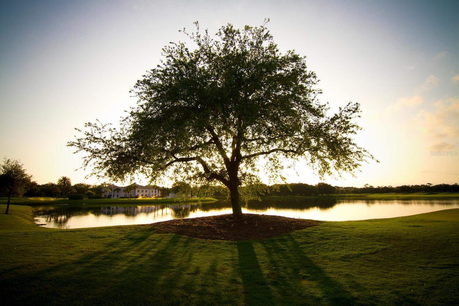 OAKS - Residential