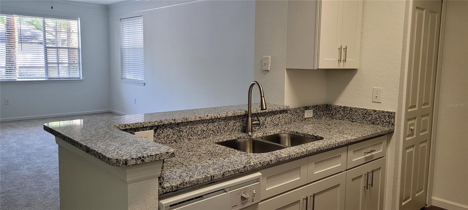 JADE AT TAMPA PALMS - Residential