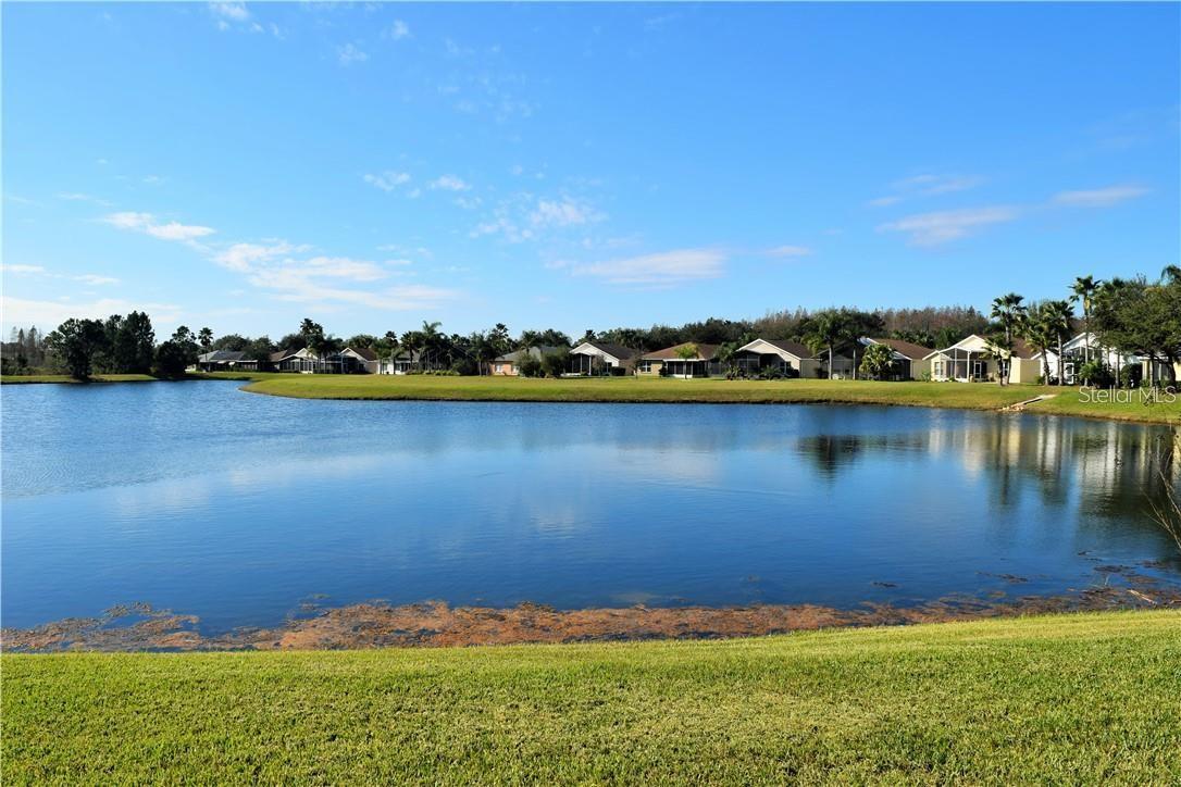 TAMPA BAY GOLF TENNIS CLUB PH 03A - Residential Lease