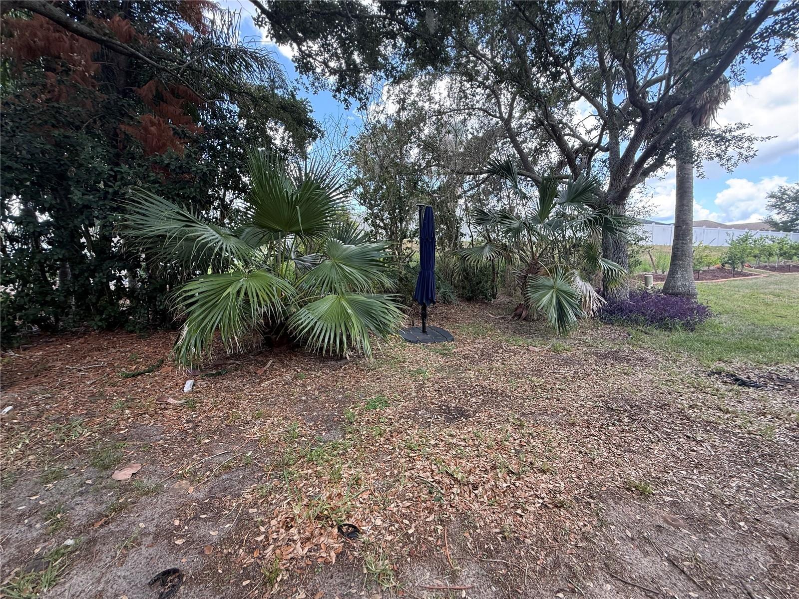 CLERMONT BEACON RIDGE AT LEGENDS PH 05 L - Residential