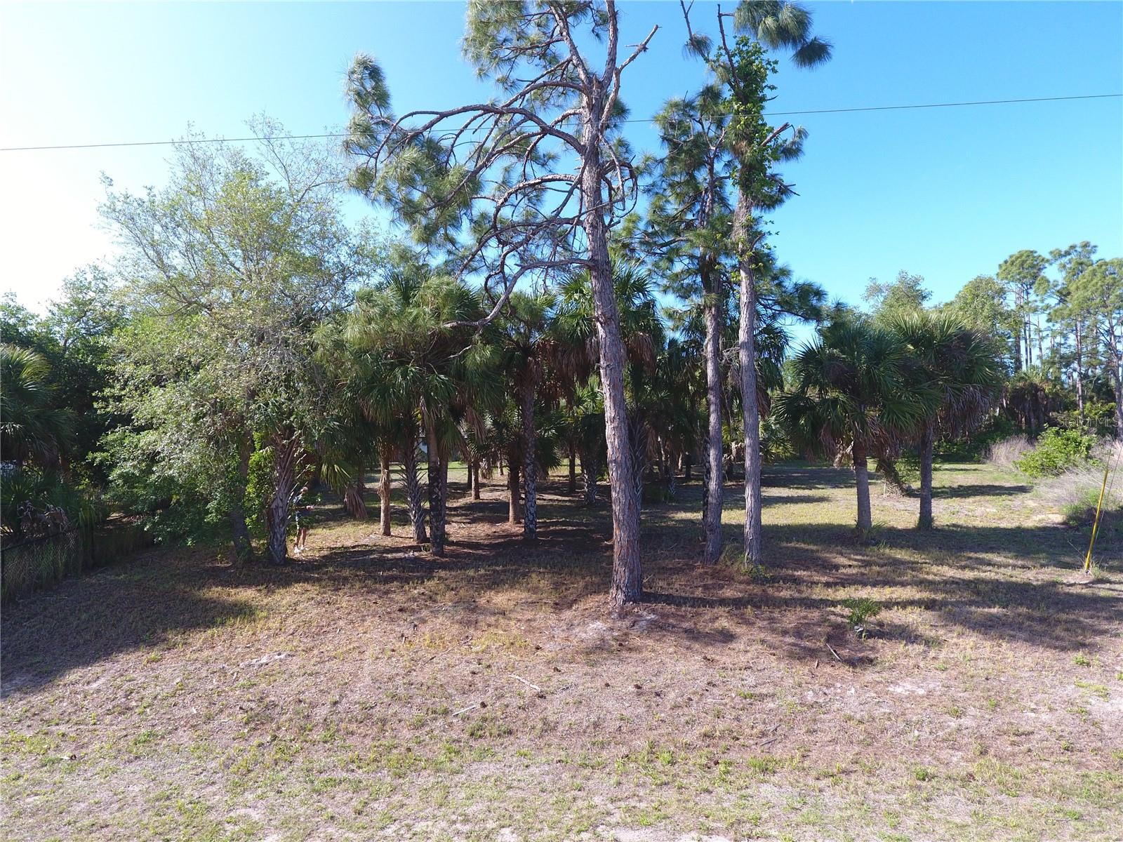 PORT CHARLOTTE SUB 08 - Residential