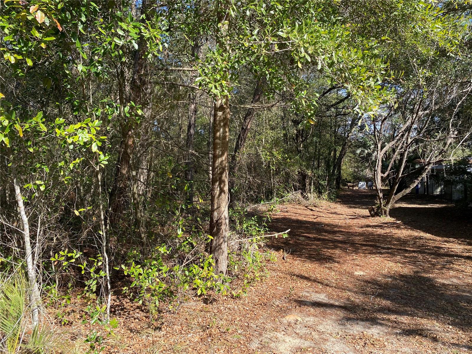 RAINBOW LAKES ESTATE - Land