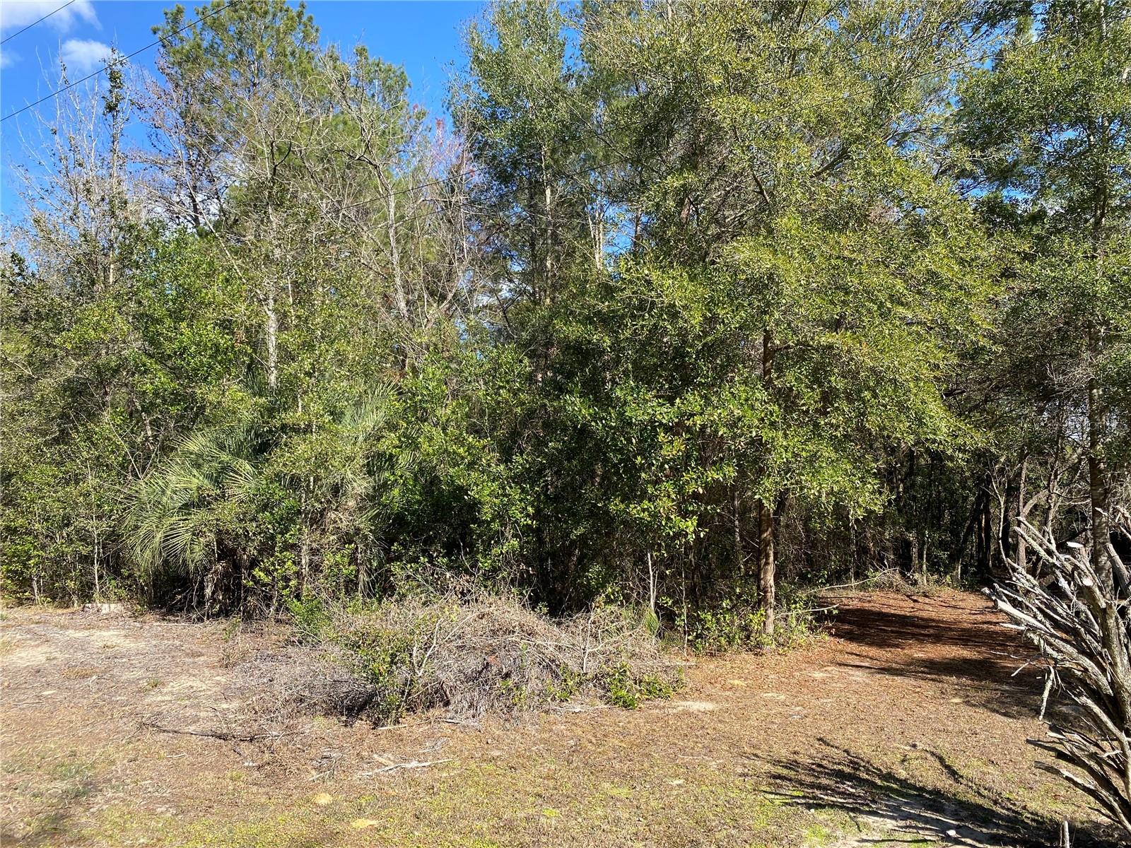 RAINBOW LAKES ESTATE - Land