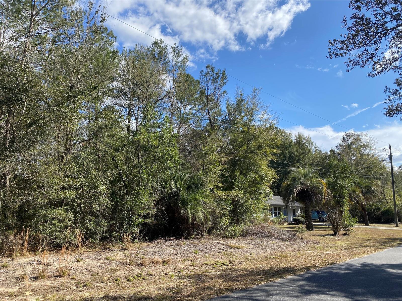 Build your dream home in one of Central Florida’s hidden gems! Located in the peaceful and growing community of Rainbow Lakes Estates, this beautiful 0.24-acre vacant lot offers the perfect opportunity to invest, build, or secure a future homesite at an attractive price point. Surrounded by Florida’s natural beauty, this property provides a quiet lifestyle while remaining conveniently close to shopping, dining, outdoor recreation, and the crystal-clear Rainbow Springs area.

Enjoy paved roads, a welcoming neighborhood atmosphere, and easy access to nearby parks, trails, lakes, and the famous Rainbow River. Whether you are looking to build your primary residence, a vacation retreat, or hold as a long-term investment, this property offers excellent potential in a rapidly developing area of Marion County.

No flood zone. No time limit to build. Take advantage of affordable Florida land ownership while opportunities in this area remain highly accessible.

- Conveniently located near Ocala, Dunnellon, and the Gulf Coast
- Peaceful residential setting with strong future growth potential
- Ideal for custom home construction or investment portfolio expansion

Don’t miss this chance to own a piece of Florida paradise at an exceptional value!