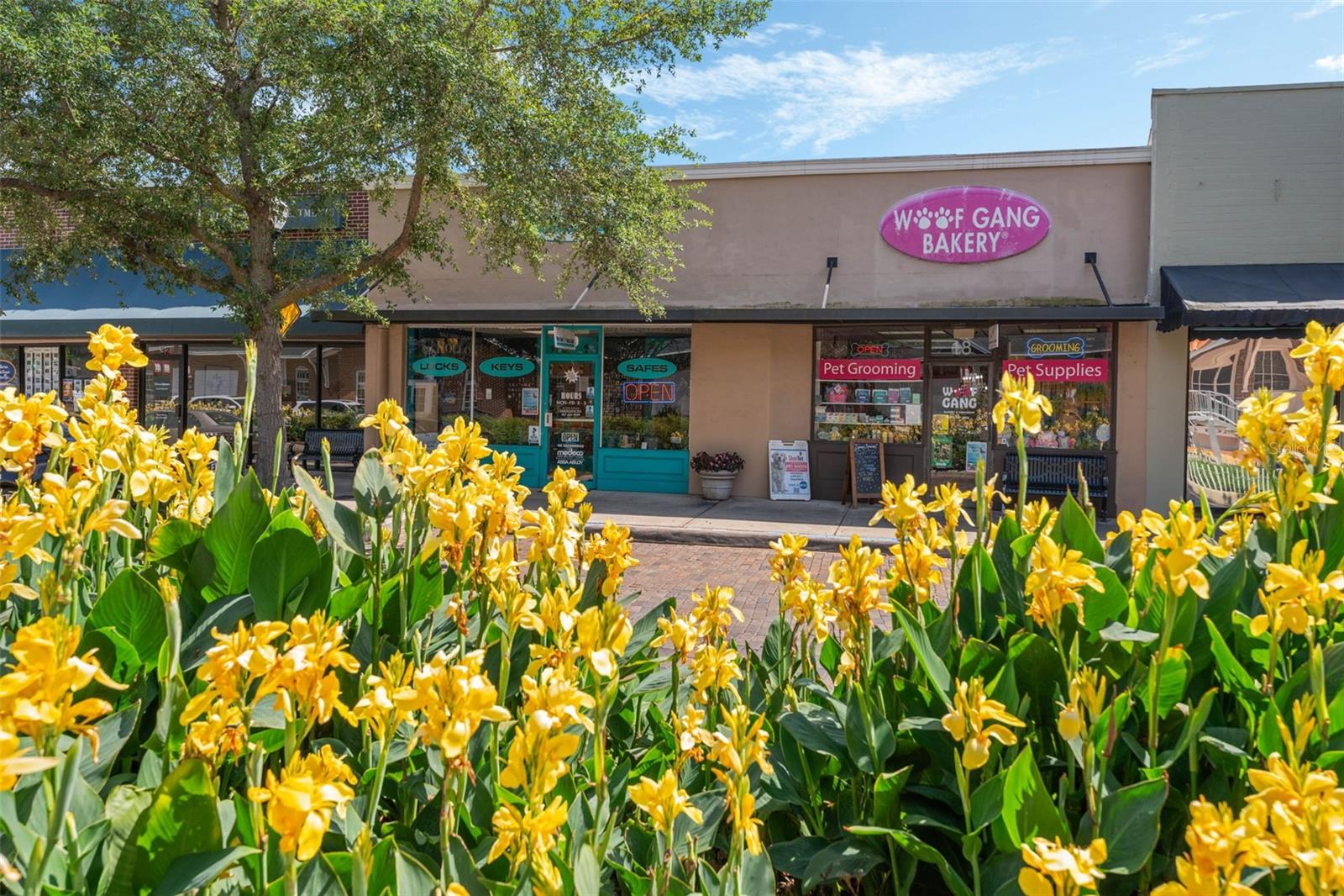 FRIES WINTER GARDEN - Commercial Sale
