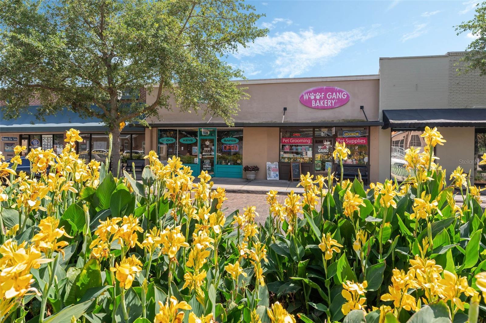 COMMERCIAL property in downtown WINTER GARDEN!  Located directly on PLANT STREET in the Historic District Overlay this property offers great exposure.  It is currently zoned C-1 and has many permitted uses such as retail establishments, eating and drinking establishments,  office & studios, financial institutions, private club, personal service, church and more.  Permitted use list available upon request.  Total property consist of over 3300 square feet and almost 2700 square feet of interior space.  Property is split up unit two units.  The first unit is approximately 1050 interior space offering a main retail area measuring 25x22, an office 9x14 and additional room 18x8.  There is additional walkway space and two restrooms.  The second unit is approximately 2050 interior space offering a 31x14 retail space, and additional spaces measuring 6x14, 8x12,10x17,18x24 and 7x15.  There is additional walkway space and one restroom plus rear entrance/exit ability.  ENJOY  the downtown Winter Garden life.
