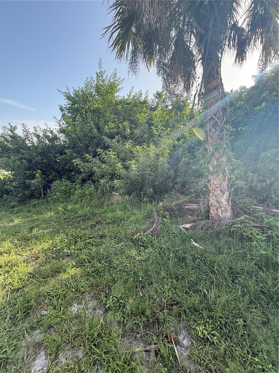 PORT CHARLOTTE SEC 021 - Land