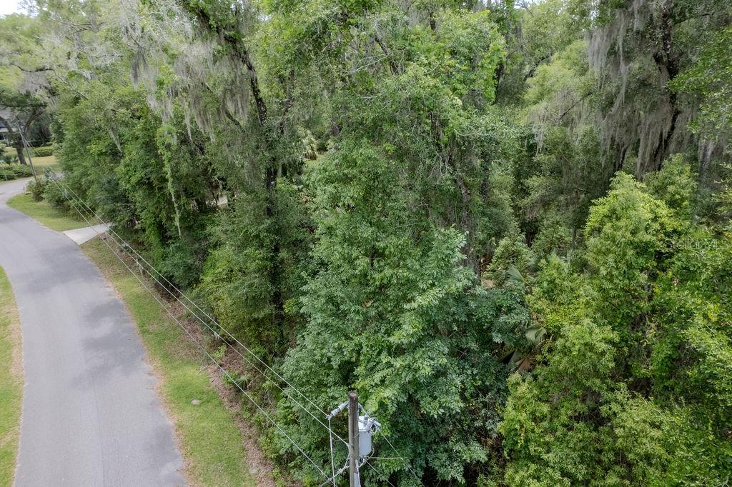 RAINBOW SPRINGS FOREST - Residential