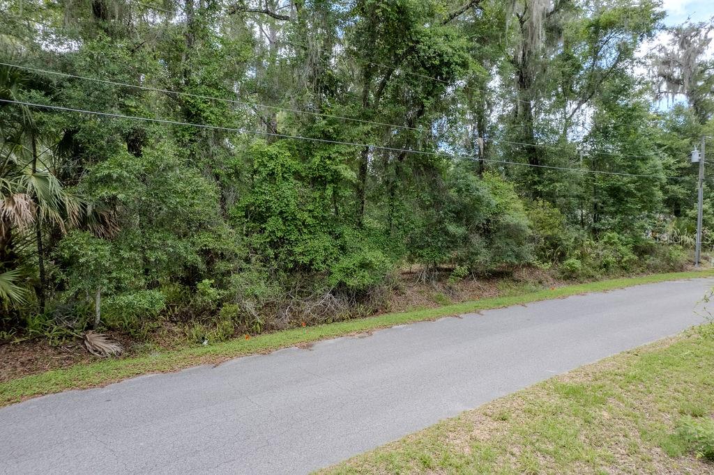 RAINBOW SPRINGS FOREST - Residential