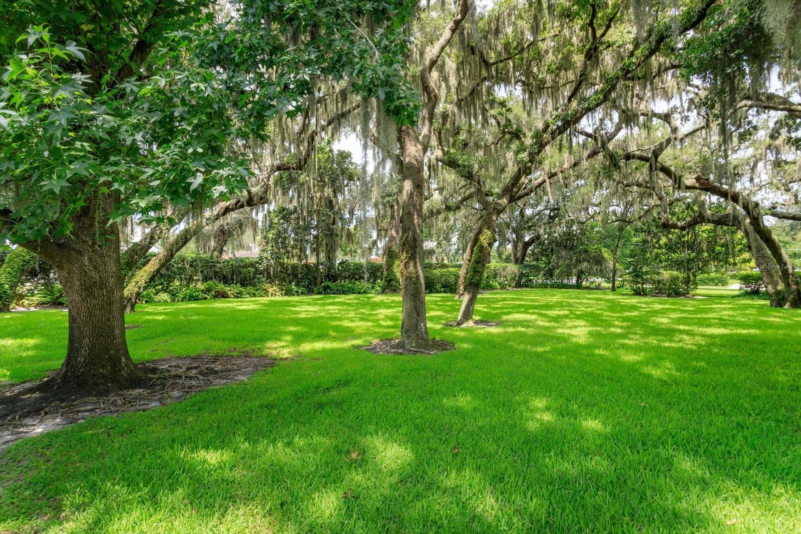 LAKE CONWAY ESTATES - Land