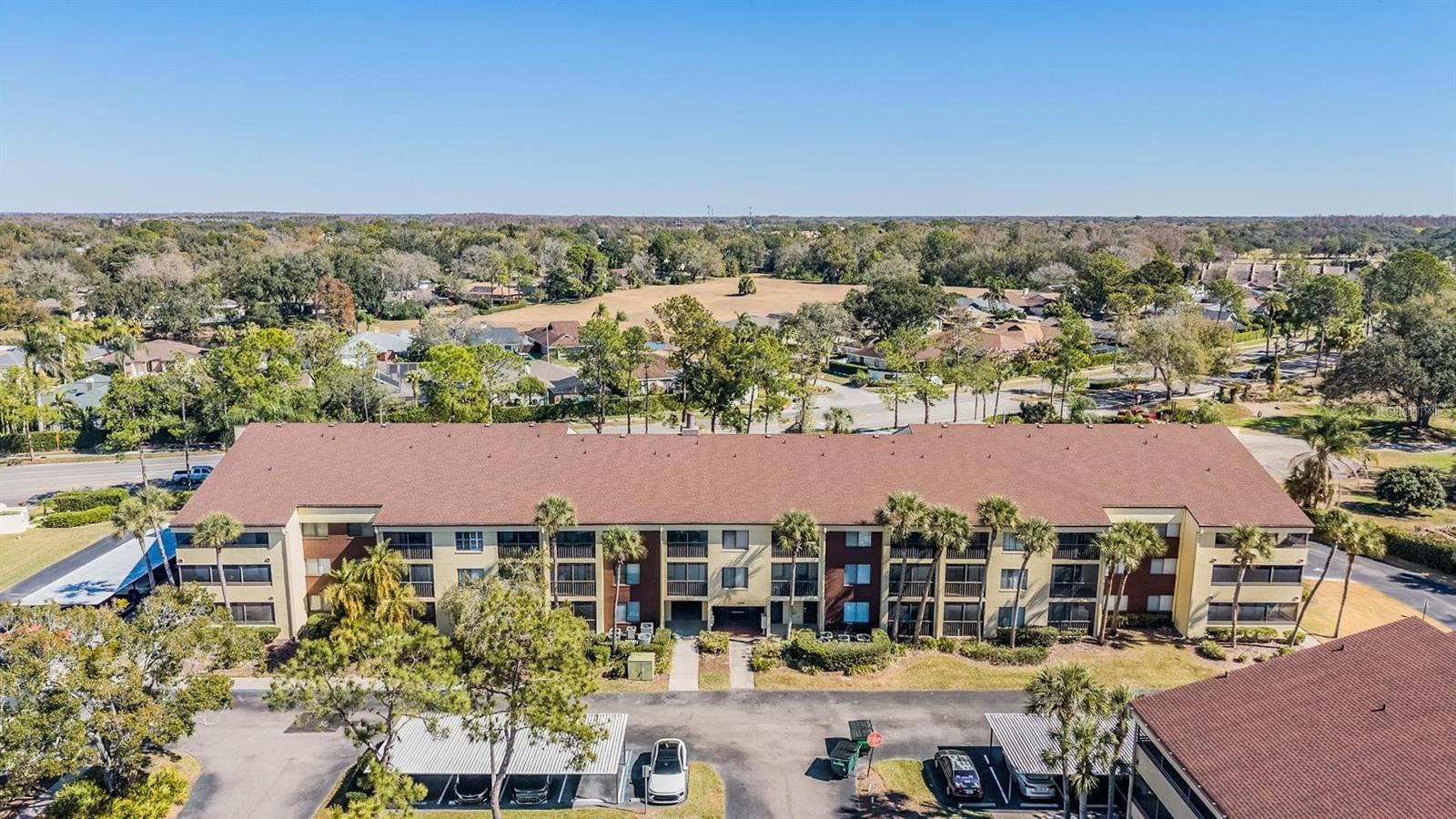 THE TOWERS AT CARROLLWOOD VILL - Residential Lease