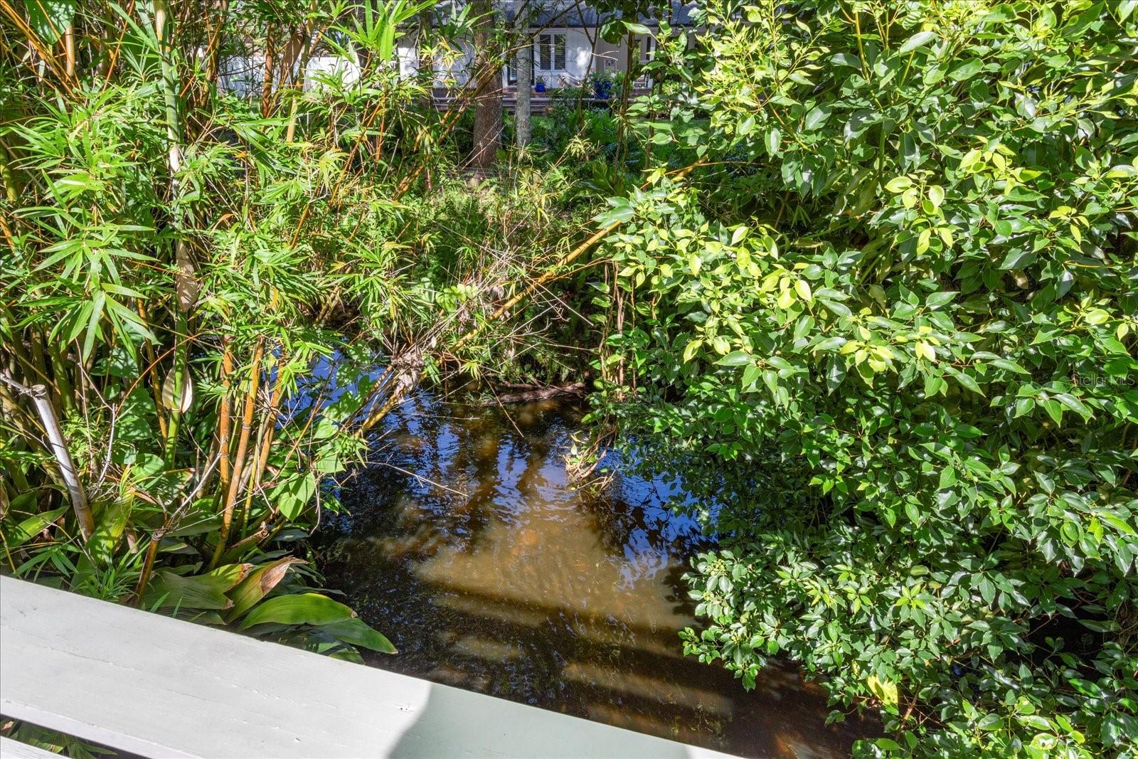 DOMMERICH WOODS - Residential