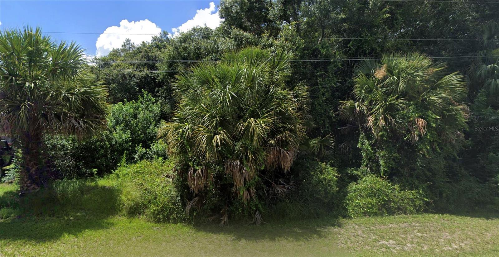 Build your dream home or invest in growing North Port! This vacant lot on Carso Ter is located in a quiet area with new construction nearby and convenient access to shopping, dining, and major roadways. No HOA (buyer to verify). Great opportunity in a rapidly developing market!