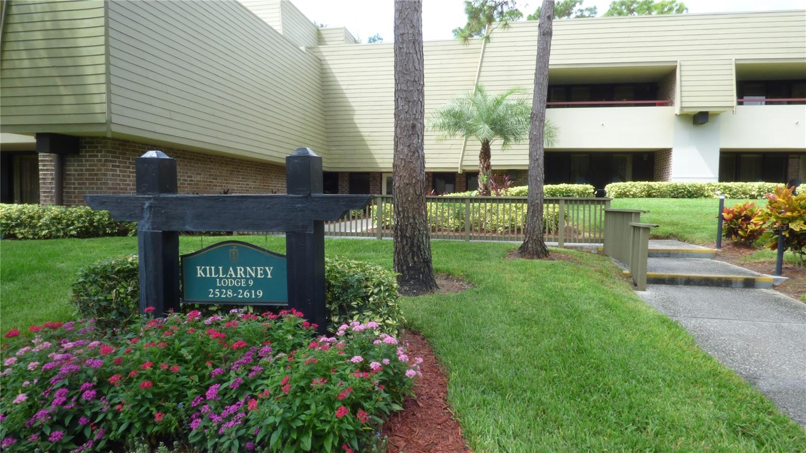 Executive Suite “A1” Unit – The perfect vacation - get-away – condo!  This adorable condominium has everything you need to be comfortable. A full kitchen, with large refrigerator and stove and large breakfast bar. Enjoy entertaining & relaxing on a large balcony in the heart of the Resort. The Murphy bed is perfect to give you extra space and privacy. There is a Queen size sleeper sofa for additional sleeping spaces for visiting family/friends. You will be amazed at how much closet and storage space this studio provides. In the Lochness Pool cluster, and with your membership, you will have easy access to the Lochness Bar & Grille, Osprey Clubhouse and Market Salamander Grille with outdoor firepits and weekend entertainment. Easy walk to the Osprey main practice range. Top floor of two-story of Killarney lodge. It's everything you can ask for!





Several levels of club memberships are available for purchase to participate in the Innisbrook amenities. Innisbrook condo owners have the option to participate in the Resort’s optional Rental Pool program (condos in lodges 1-24 only). 
Situated on 800 wooded acres of rolling hills and 70 acres of lakes, Innisbrook, A Salamander Golf and Spa Resort is located just 25 minutes from Tampa International Airport. Innisbrook features sixty-three holes of golf, including the PGA’s Valspar Championship Copperhead course, 280spacious guest suites and rooms, 5 restaurants and 3 bars including the FAIRWAYS COFFEE AND WINE BAR featuring STARBUCKS coffee, 10 Har-Tru TENNIS courts, 4 Hard-court PICKLEBALL Courts, 3 Indoor RACQUETBALL courts, a full-service Salamander SPA with 12 treatment rooms and Fitness Center, 6 Swimming POOL Complexes, and 2 Conference halls.
