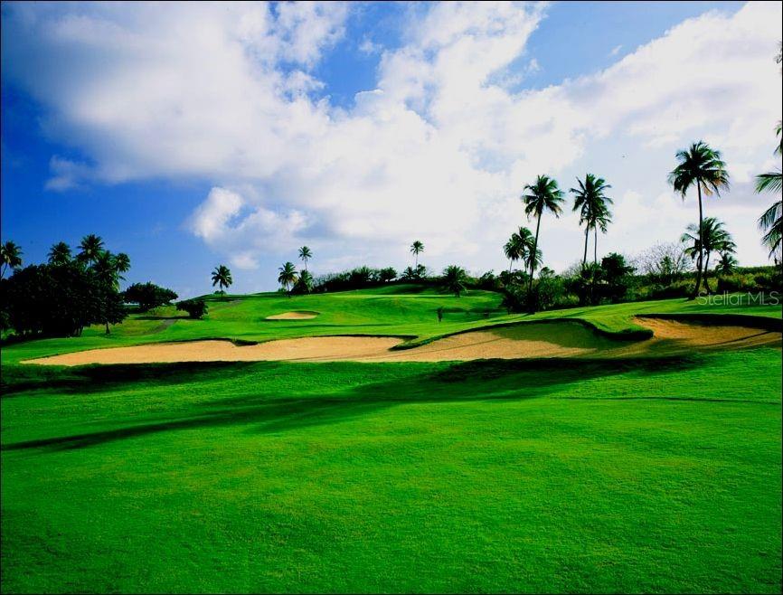 PALMAS DEL MAR FAIRLAKES VILLAGE - Residential