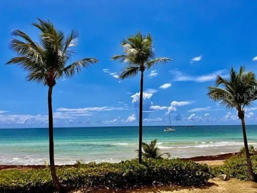 PALMAS DEL MAR FAIRLAKES VILLAGE - Residential