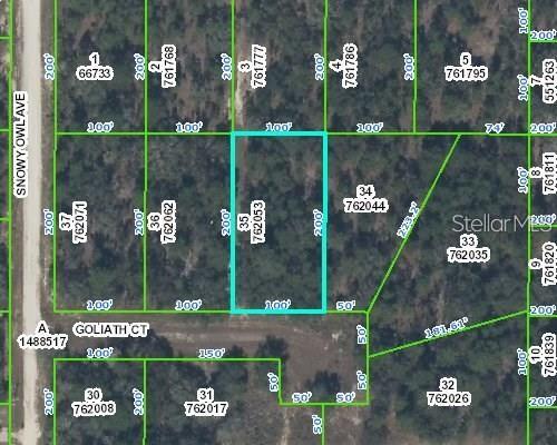 Build your dream home on this spacious 0.46-acre vacant lot located in the desirable Royal Highlands area of Weeki Wachee! This property offers plenty of room for your custom home, garage, workshop, or outdoor living space with no HOA fees and no builder tie-ins — choose your own builder and build on your timeline. Enjoy the peaceful setting while still being conveniently located near shopping, dining, schools, medical facilities, Weeki Wachee Springs, kayaking, fishing, and the Gulf Coast. Don’t miss this opportunity to own nearly half an acre in a growing area of Hernando County!