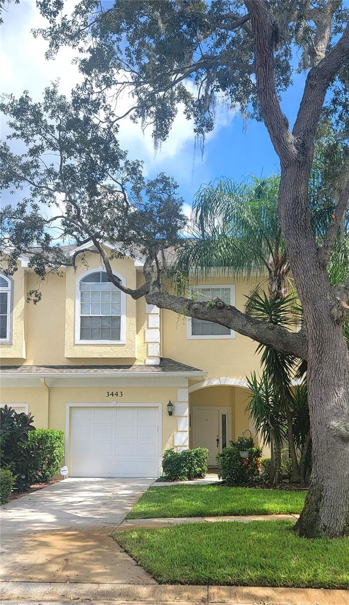 New price.  Great Palm Harbor location for this beautiful townhome in gated Ashley Downs. Open and airy foyer entrance takes you to living room and dining area with laminate flooring and sliders to screen enclosed lanai. Spacious open kitchen with pass thru to dining area. Beautiful stairway to bedrooms and laundry with washer and dryer- volume ceilings with planter shelving thru out. Master bath with king bed and tiled walk-in shower and double sink vanity. Twin beds in guest bedrooms. Lawn and trash is included in the rent. Community pool nearby. This is a non-smoking residence for rent on a long-term basis. No pets please. Immaculate and Move in Ready!