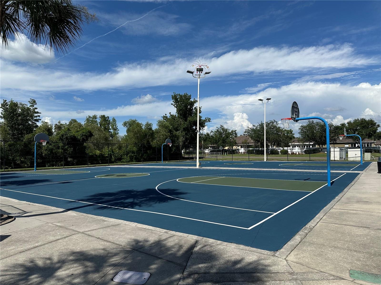 MEADOW POINTE PRCL 16 UNIT 3B - Residential Lease