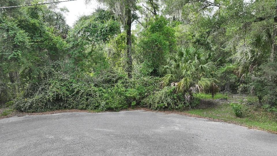 Rare opportunity to own 3 beautiful acres in the highly sought after community of Rainbow Springs The Forest! Situated at the end of a cul-de-sac, This private homesite offers the perfect setting to build your dream home surrounded my nature. The property backs directly up to Rainbow Springs State park and has a natural WRA on the south side providing exceptional privacy with no rear neighbors. The property is partially cleared and already has a well in place adding tons of value and convenience as you plan your future home. This property has deeded access to the Rainbow River as well as walking trails, club house, community pool etc. Located only 15 minutes away from Dunnellon, 20 minutes away from World Equestrian Center and 30 minutes away from Goethe State Forest. This is the biggest and only vacant lot for sale in this community that backs up to the Rainbow Springs State Park, don't let this one slip away.