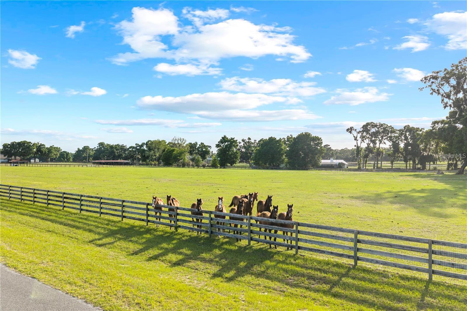 BELLEMONT FARMS - Residential