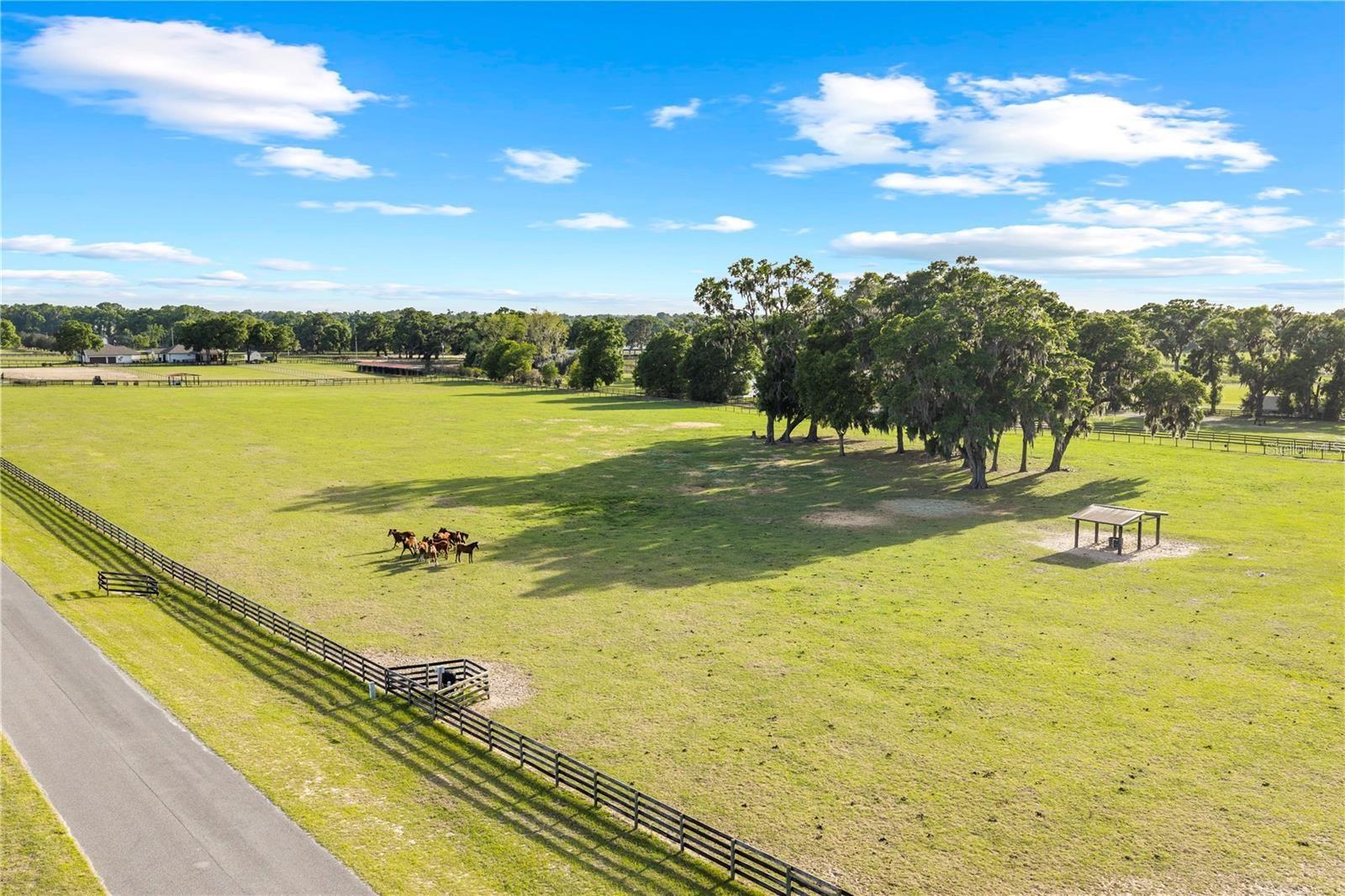 BELLEMONT FARMS - Residential